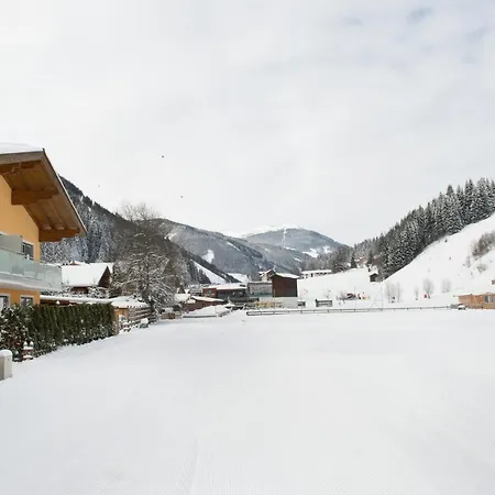 Neumayer Viehhofen
