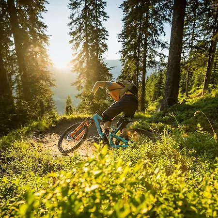 Apartament Neumayer Viehhofen