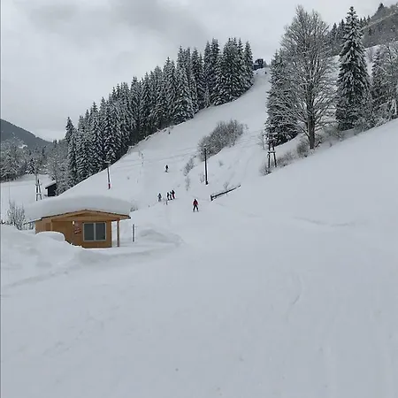 아파트 Neumayer