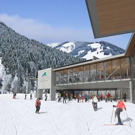 Neumayer Apartamento Viehhofen
