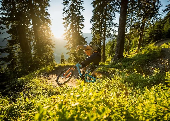 Apartmán Neumayer Viehhofen